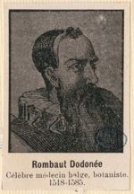 Dodonée / Dodoens / Dodonoeus, Rombaut / Rembaut / Rembert (1518-1585)