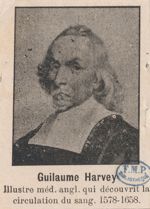Harvey, William / Harvey, Guilaume (1578-1657)