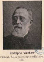 Virchow, Rudolf L. K. / Rodolphe (1821-1902)