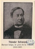 Schwann, Théodor (1810-1882)