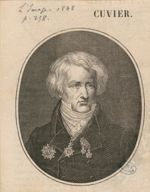 Cuvier - L'Image