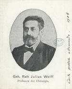 Geh. Rath Julius Wolff
