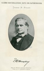 Thomas H. Huxley - Galerie hervorragender ärzte und naturforscher
