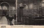 Ecole Supérieure de Pharmacie : collection de zoologie