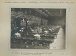 Faculté de médecine de Paris, bibliothèque, remaniement de la salle de lecture : le bureau des bibli [...]