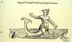 Image d'un monstre marin ayant figure humaine. - Les oeuvres d'Ambroise Paré... divisées en vingt hu [...]