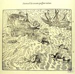Portraict de certains poissons volans - Les oeuvres d'Ambroise Paré... divisées en vingt huit livres