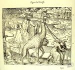 Figure du giraffe - Les oeuvres d'Ambroise Paré... divisées en vingt huit livres