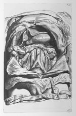 Renes, ureteres, vesica urinaria, stomachus, hepar, pancreas - Anatomia humani corporis