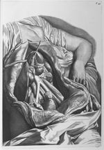 Apertum abdomen - Anatomia humani corporis