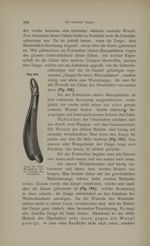 [Fig.192. Pince pour les bicuspides et les racines de la mâchoire supérieure] - Lehrbuch der Zahnhei [...]
