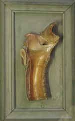 Coupe longitudinale du larynx du cheval - moulage en plâtre de Petitcolin