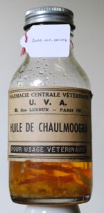 Flacon d'huile de Chaulmoogra