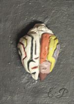 Cerveau du chacal, vue dorsale. Les gyri sont coloriés à gauche, les sulci à droite.