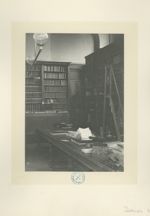 Ecole supérieure de pharmacie de Paris. Salle de lecture de la bibliothèque (détail). [Faculté de ph [...]
