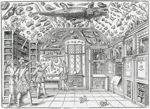 [Frontispice : Cabinet d'histoire naturelle, Cabinet de curiosités] - Dell'Historia Naturale ...