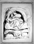 Vue de l'abdomen après retrait des intestins et du mésentère - Cent six planches (lavis à l'encre de [...]