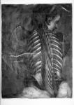 Dissection des muscles du cadavre d'une femme - Myologie complete en couleur et grandeur naturelle