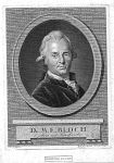 Bloch, Marcus Eliezer (1723-1799)