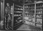 Musée d'ostéologie de l'Ecole de Médecine et de Pharmacie de Tours