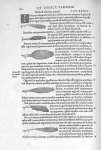 Musculi tibiarum externi - De dissectione partium corporis humani libri tres, à Carolo Stephano, doc [...]