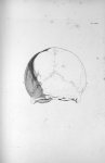 Pl. LXIII. Partie postérieure du crâne d'un homme très-courageux - Anatomie et physiologie du systèm [...]