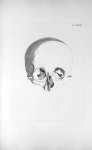 Pl. LXXXVIII. Crâne de Voigtlaender - Anatomie et physiologie du système nerveux en général et du ce [...]