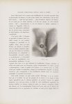 Chancre syphilitique papuleux - Le musée de l'hôpital Saint-Louis : iconographie des maladies cutané [...]
