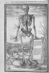 La dissection des parties du corps humain divisee en trois livres, faictz par Charles Estienne, doct [...]