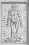 La dissection des parties du corps humain divisee en trois livres, faictz par Charles Estienne, doct [...]