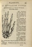 La quatriesme Figure represente la face interne de la main droite - L'Oeconomie chirurgicale, pour l [...]