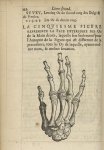 La cinquiesme Figure represente la face exterieure des os de la main droite - L'Oeconomie chirurgica [...]