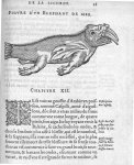 Elephant de mer - Discours d'Ambroise Paré, conseiller premier chirurgien du roy, à scavoir , de la  [...]
