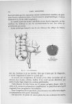 Fig. 81. La columnisation / Fig. 82. La columnisation vue en coupe - Exposé des travaux scientifique [...]