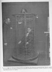 Fig. 22. Cage de d'Arsonval utilisée par M. Le Dr Moutier, qui a découvert ses propriétés pour abais [...]
