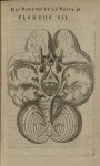 Planche VII - L'Anatomie du corps humain avec ses maladies, & les remedes pour les guerir. Nouvelle  [...]