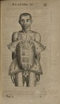 Planche II - L'Anatomie du corps humain avec ses maladies, & les remedes pour les guerir. Nouvelle e [...]