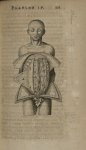 Planche IV - L'Anatomie du corps humain avec ses maladies, & les remedes pour les guerir. Nouvelle e [...]
