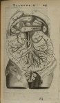 Planche X - L'Anatomie du corps humain avec ses maladies, & les remedes pour les guerir. Nouvelle ei [...]