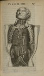 Planche XIII - L'Anatomie du corps humain avec ses maladies, & les remedes pour les guerir. Nouvelle [...]