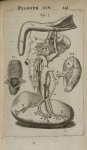 Planche XIV - L'Anatomie du corps humain avec ses maladies, & les remedes pour les guerir. Nouvelle  [...]