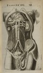 Planche XVI - L'Anatomie du corps humain avec ses maladies, & les remedes pour les guerir. Nouvelle  [...]