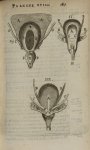 Planche XVIII - L'Anatomie du corps humain avec ses maladies, & les remedes pour les guerir. Nouvell [...]