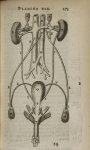 Planche XIX - L'Anatomie du corps humain avec ses maladies, & les remedes pour les guerir. Nouvelle  [...]