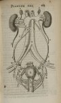 Planche XXI - L'Anatomie du corps humain avec ses maladies, & les remedes pour les guerir. Nouvelle  [...]