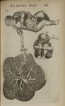 Planche XXIV - L'Anatomie du corps humain avec ses maladies, & les remedes pour les guerir. Nouvelle [...]