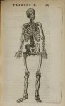 Planche I - L'Anatomie du corps humain avec ses maladies, & les remedes pour les guerir. Nouvelle ei [...]