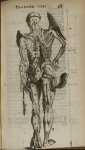 Planche III - L'Anatomie du corps humain avec ses maladies, & les remedes pour les guerir. Nouvelle  [...]