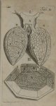 Tab. II. Fig. I [ : « Representant les Poulmons des Grenoüilles avec la Trachée adherante (...) »] / [...]