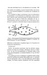 Fig. 8. - Kystes (zygotes) K de l'hématozoaire du paludisme (Plasmodium malariae), à la surface de l [...]